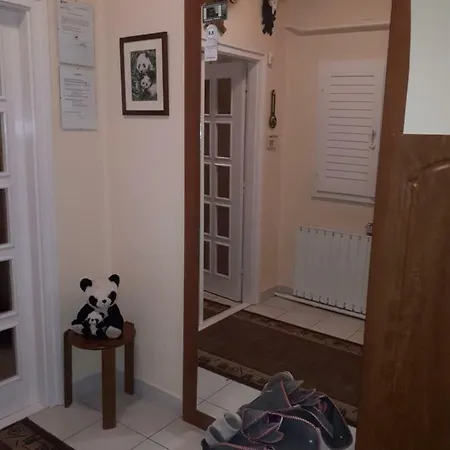 Panda Vendeghaz